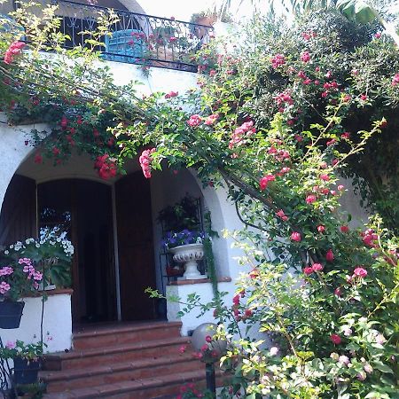 B&B Villa Piera Montecucco Stintino Εξωτερικό φωτογραφία