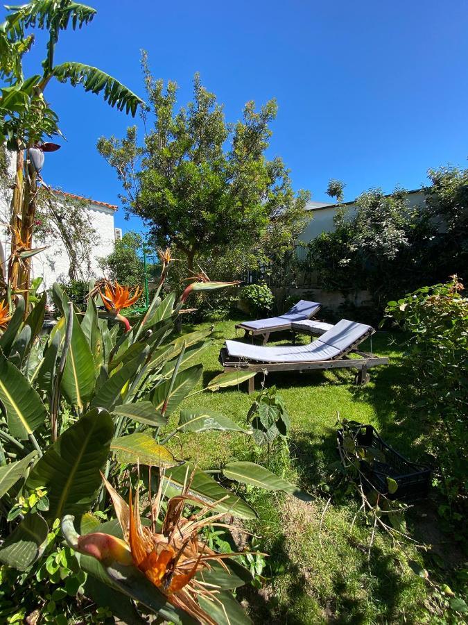 B&B Villa Piera Montecucco Stintino Εξωτερικό φωτογραφία